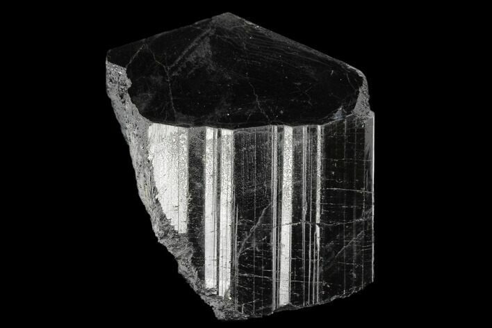 Terminated Black Tourmaline (Schorl) Crystal - Madagascar #174148